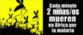 /album/paludismo/images-4-jpg/